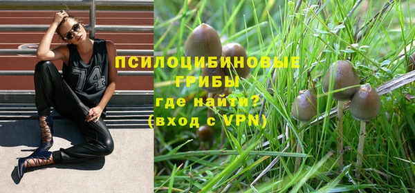 МДПВ Елабуга