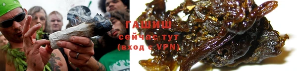 амф Ельня