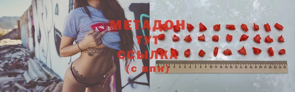 амф Ельня