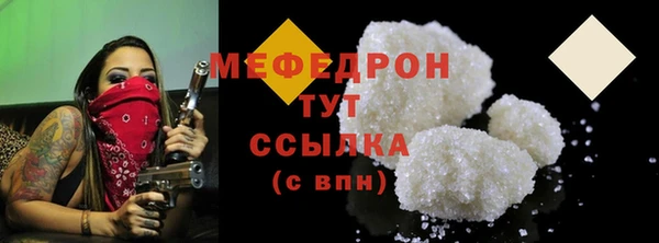 амф Ельня