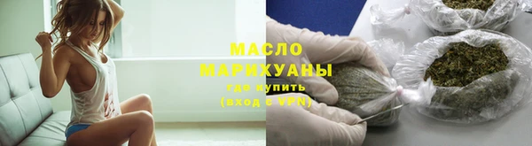 амф Ельня