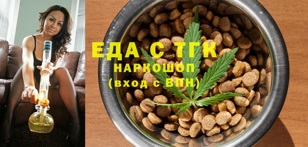 амф Ельня
