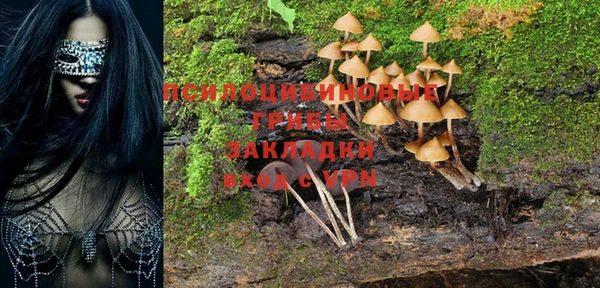 МДПВ Елабуга