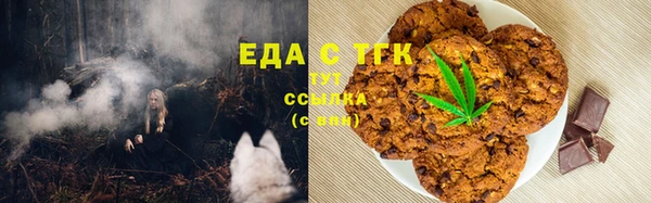 амф Ельня