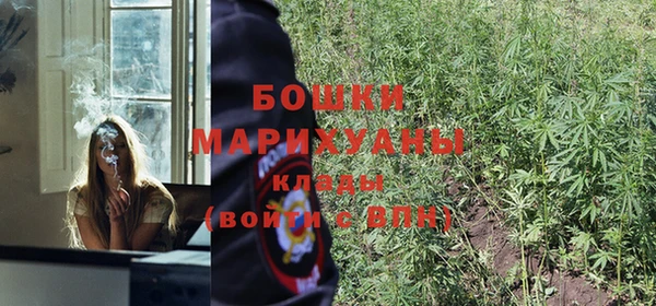 винт Елизово