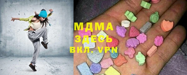 амф Ельня
